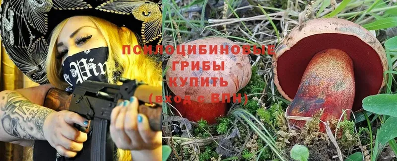 Псилоцибиновые грибы MAGIC MUSHROOMS  OMG ССЫЛКА  Валуйки 